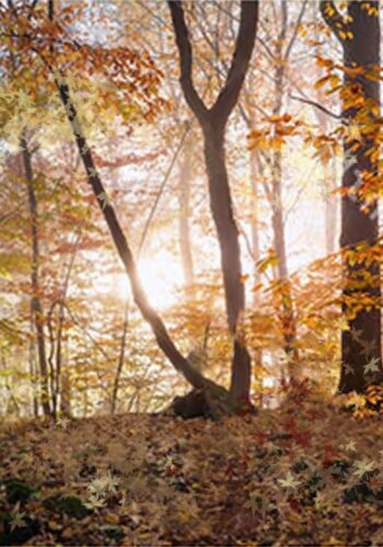 2023, Digital painting con stampa lenticolare olografica 3D, 100x70 tutto scorre autunno alba