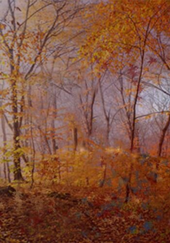2023, Digital painting con stampa lenticolare olografica 3D, 100x70 tutto scorre autunno sera